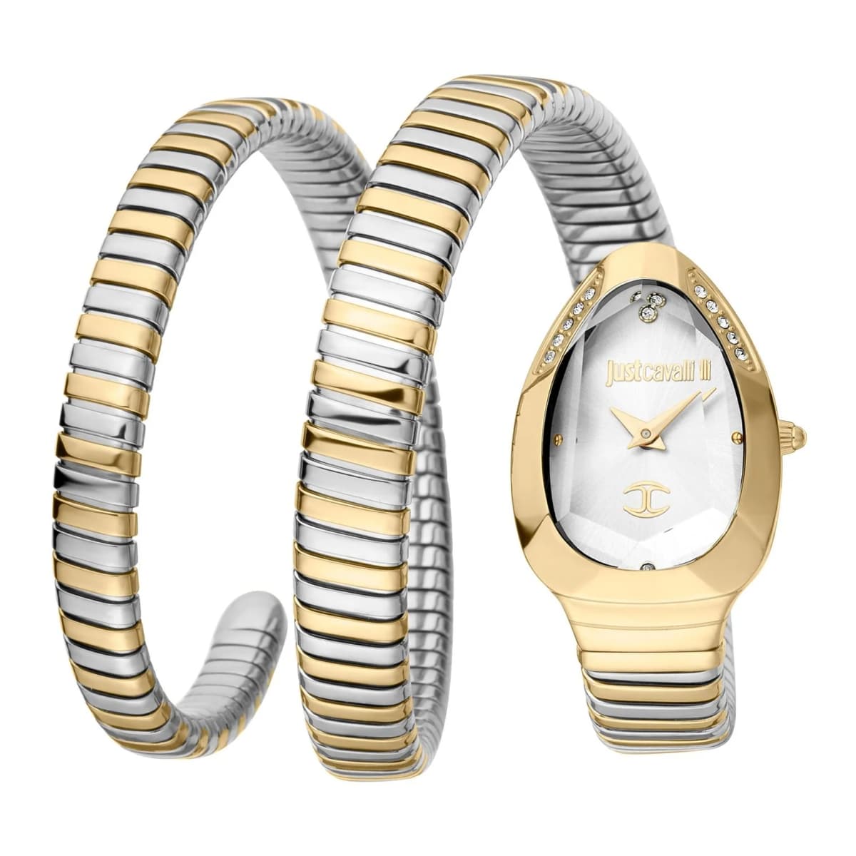 Just Cavalli Watch For Women JC1L209M0065