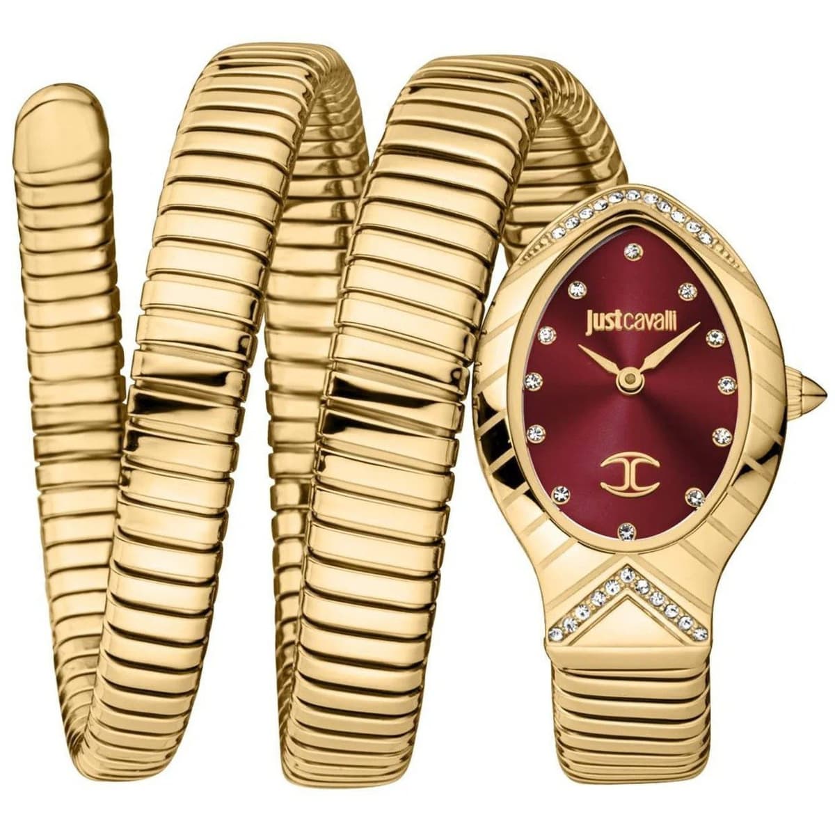 Just Cavalli Watch For Women JC1L248M0035