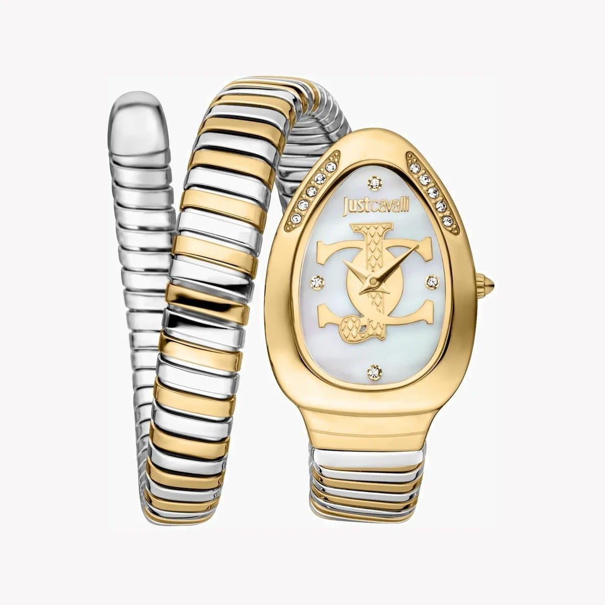 Just Cavalli Watch For Women JC1L227M0065