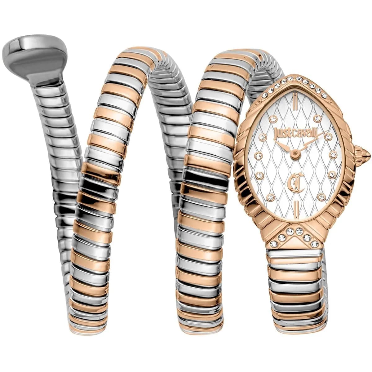 Just Cavalli Watch For Women JC1L323M0065