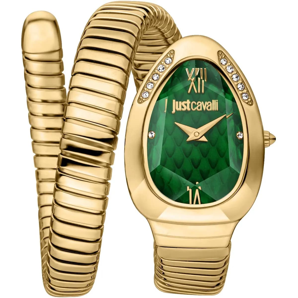 Just Cavalli Watch For Women JC1L223M0035