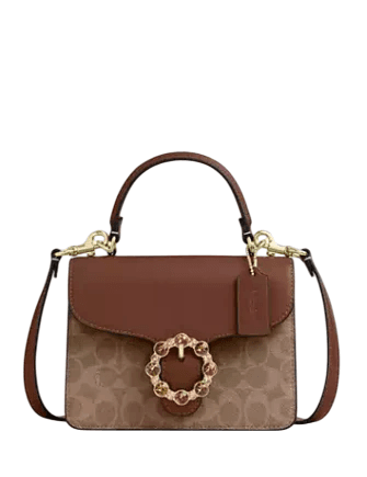 COURTNEY TOP HANDLE BAG IN SIGNATURE CANVAS
