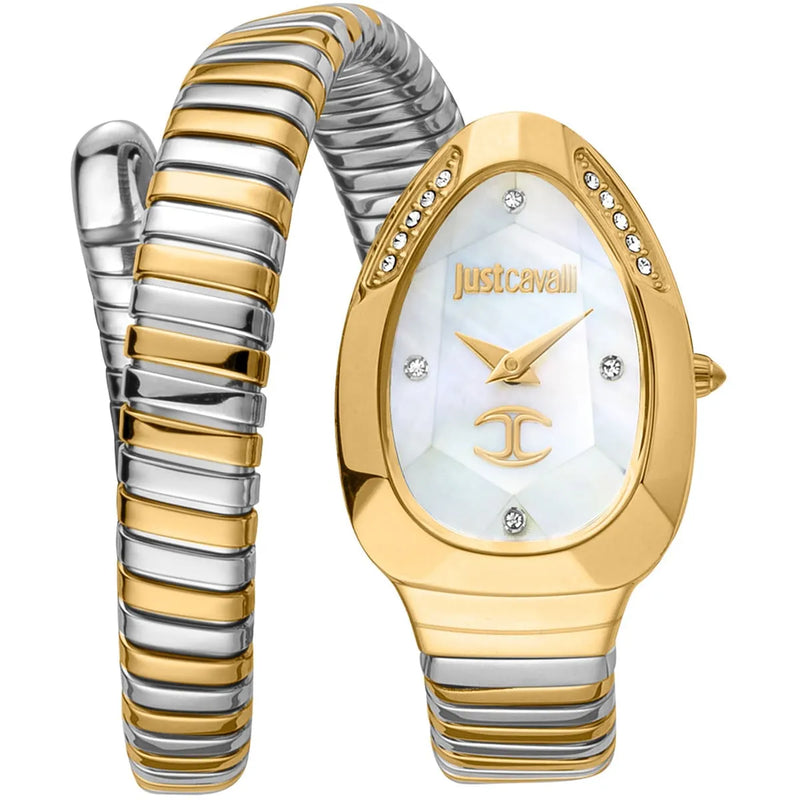 Just Cavalli Watch For Women JC1L229M0065