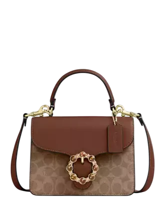 COURTNEY TOP HANDLE BAG IN SIGNATURE CANVAS